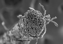 SEM-Shell_Weld